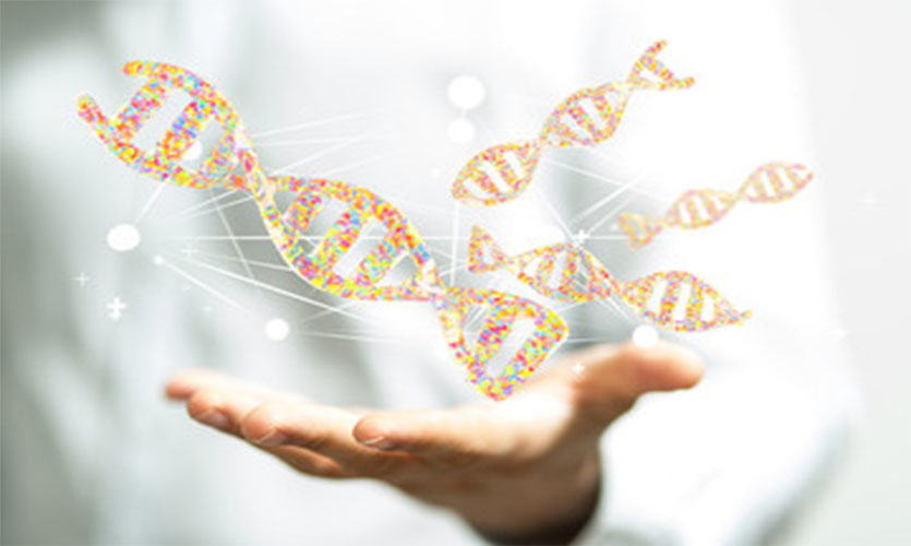 偷偷做亲子鉴定