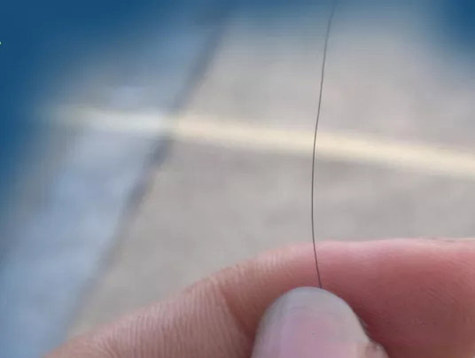 亲子鉴定多少钱