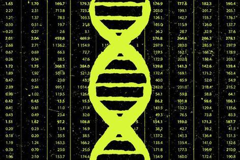 亲子鉴定去哪里