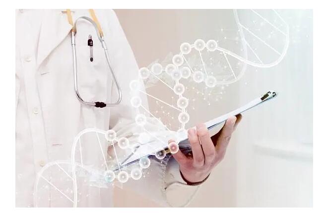 亲子鉴定多少钱