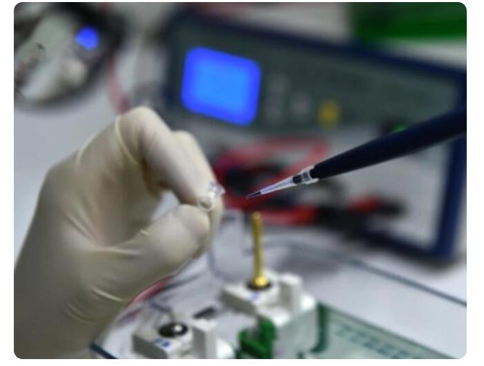 亲子鉴定需要什么