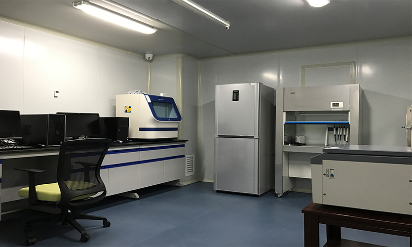 亲子鉴定需要什么