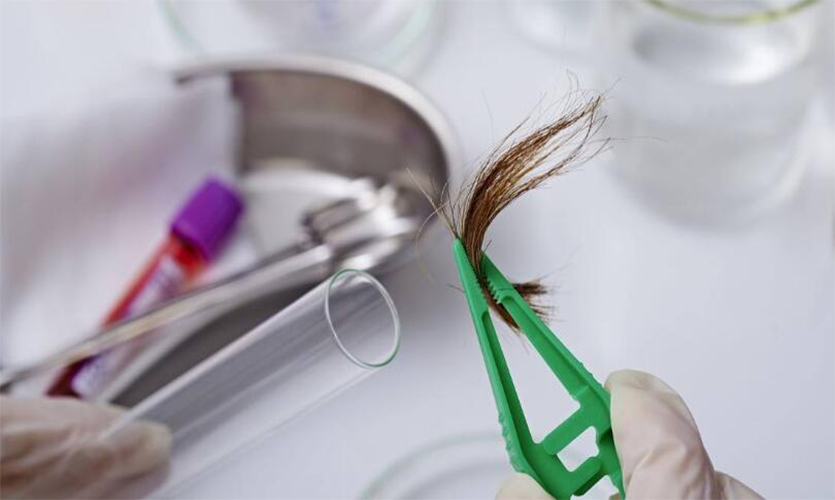 亲子鉴定多少钱