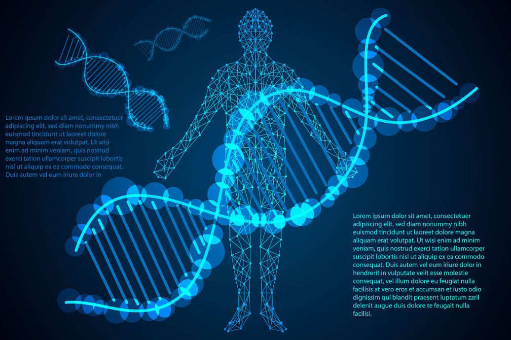 哪里可以做亲子鉴定