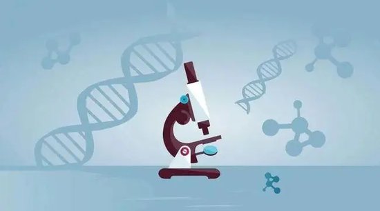 亲子鉴定多少钱