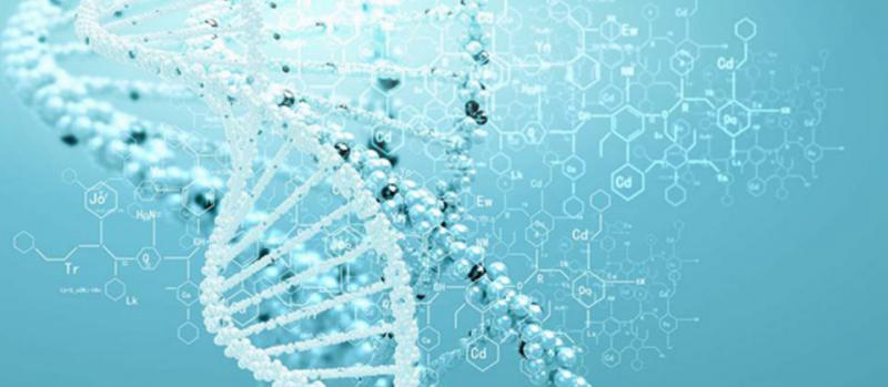 亲子鉴定需要多少钱