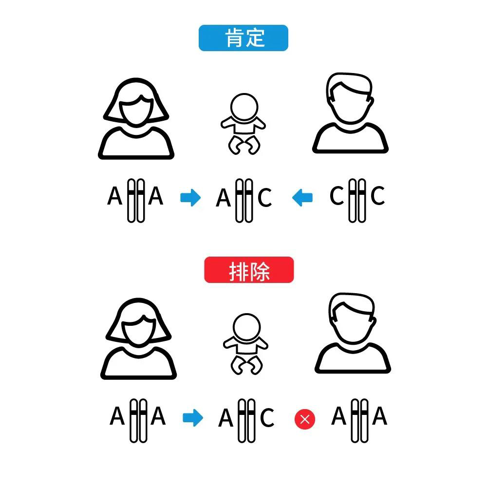 亲子鉴定多少钱
