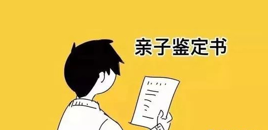 亲子鉴定结果