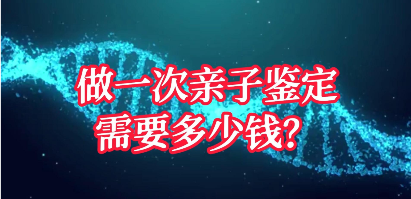亲子鉴定需要多少钱