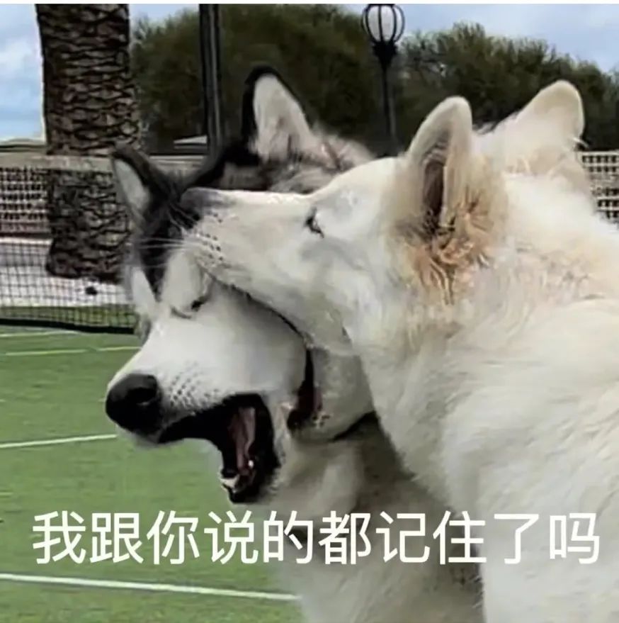 亲子鉴定怎么做