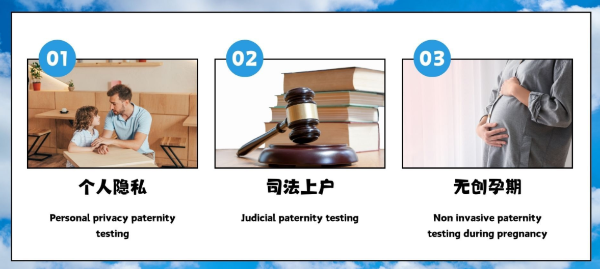 亲子鉴定要提供什么