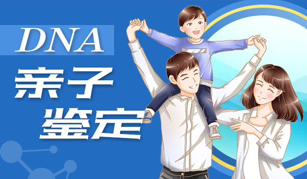 手机可以查询亲子鉴定结 