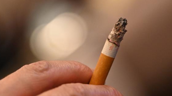 烟头做亲子鉴定