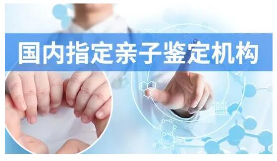 哪里可以做亲子鉴定