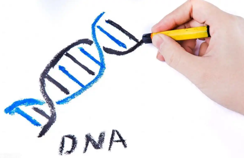 亲子鉴定一定准