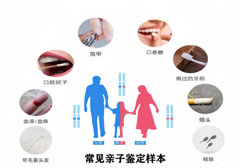 亲子鉴定用什么